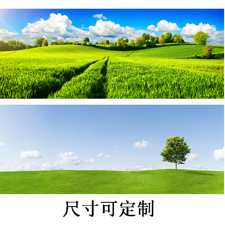 绿色护眼大草原树林自然风景挂画客厅床头草地田园风光装饰贴挂画图片