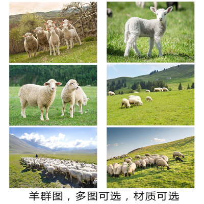 可爱动物绿色草原羊客厅卧室海报