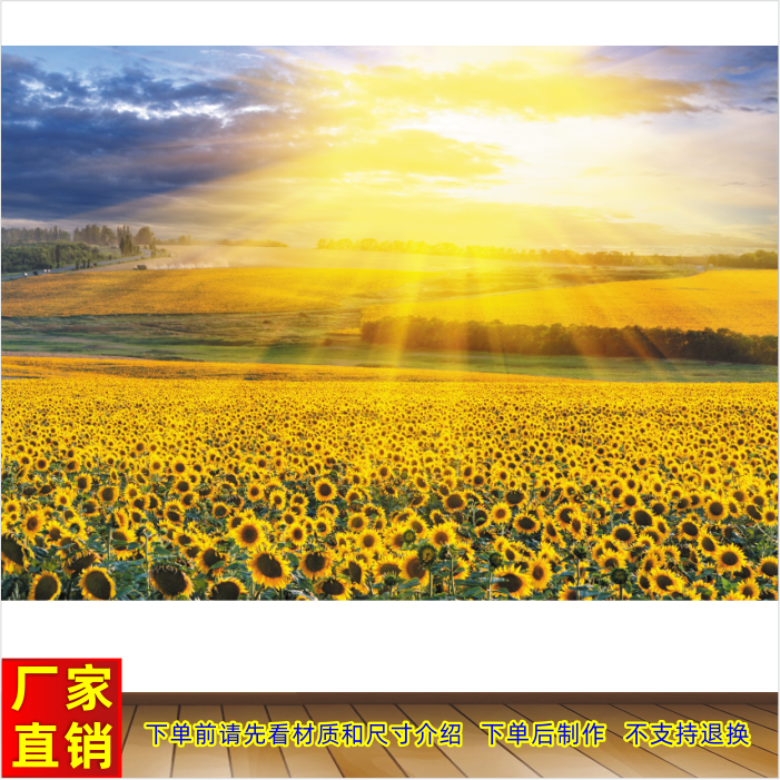 向日葵风景画墙贴画壁画客厅卧室装饰画太阳花阳光自然风景图