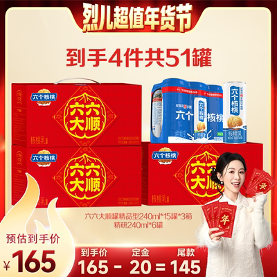 春节礼盒植物蛋白饮料六个核桃