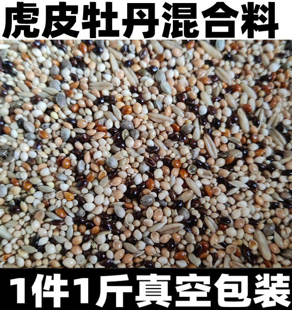 虎皮鹦鹉饲料玄凤牡丹专用混合料鸟食粮食带壳黄谷子鸟粮1斤真空 - 实物图