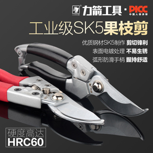 力箭园艺剪刀8寸树枝剪刀果枝剪园林剪刀园丁剪修花剪刀修枝剪刀