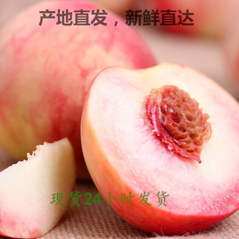 水蜜桃 新鲜 毛桃 5斤脆甜多汁当季水果 湖北枣阳大红桃 现摘现发