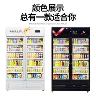啤酒柜冷藏展示柜立式 商用冰箱单门保鲜柜饭店超市冷柜双门饮料柜