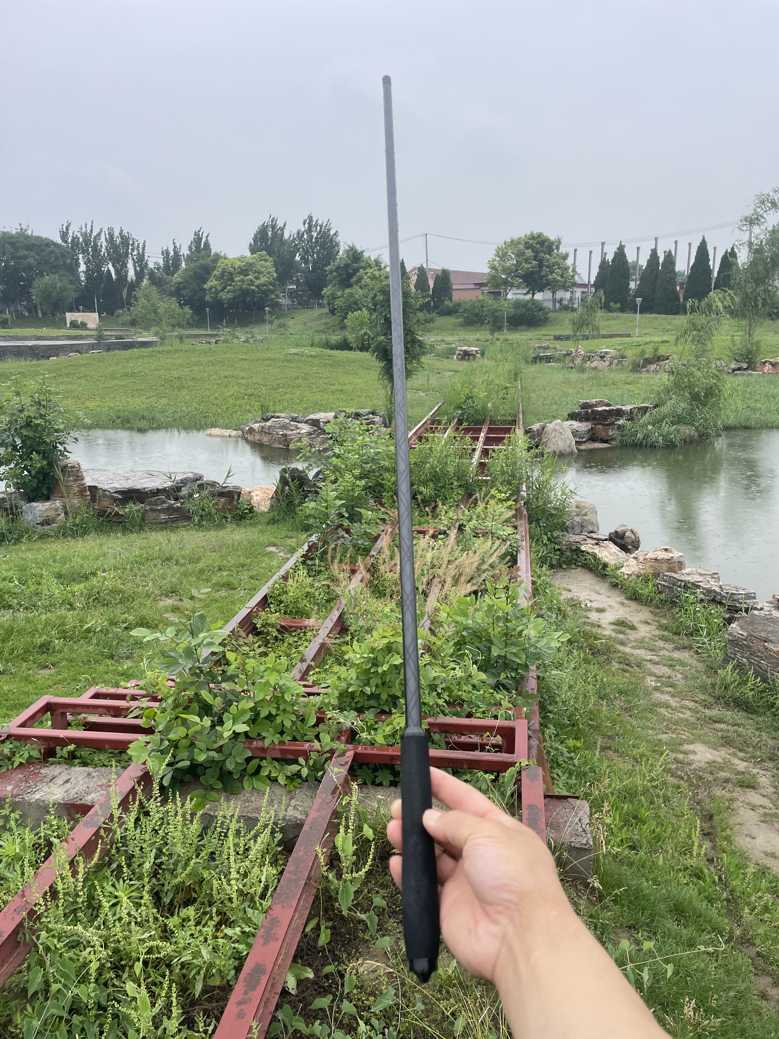 黑棍鲫鱼竿碳素超轻超硬超细钓鱼竿鲤鱼竿28调5H野钓竿台钓竿长节