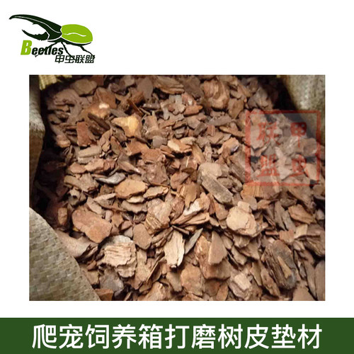 蜘蛛垫料装饰打磨树皮促销甲虫