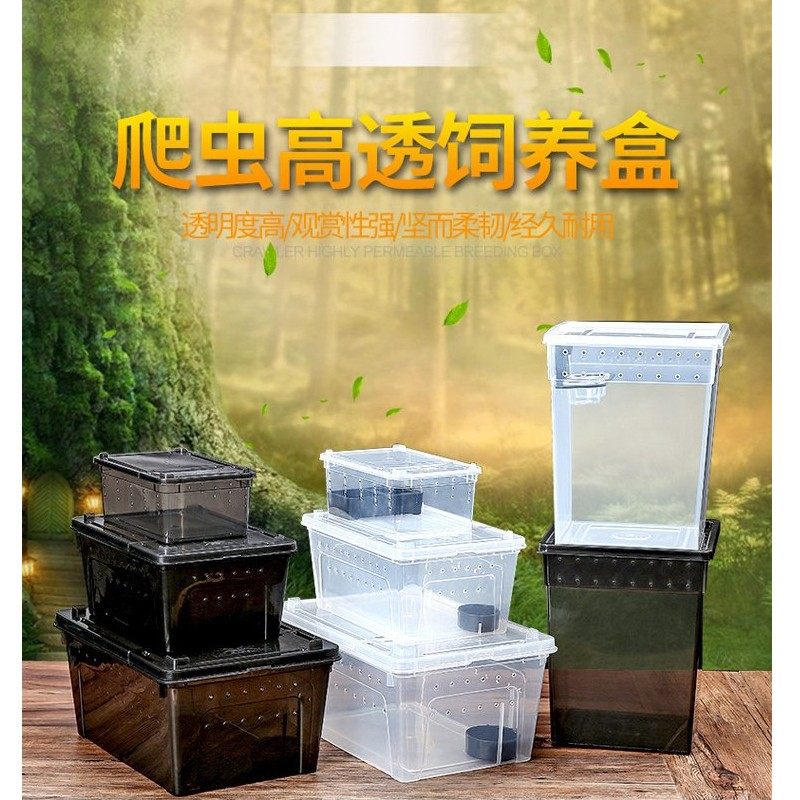 宠物饲养盒爬宠箱蜘蛛蜈蚣甲虫昆虫角蛙盒树栖盒爬虫饲养盒爬宠盒