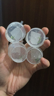 螳螂饲养罐螳螂苗子饲养盒小号跳蛛饲养盒店家手工自制酱料杯