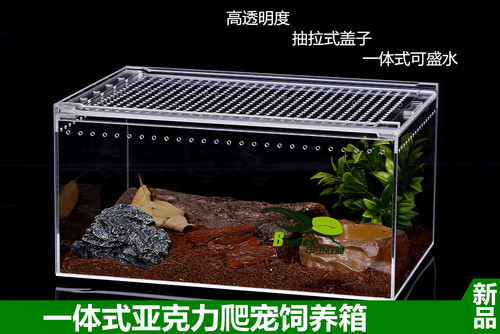 一体式亚克力爬虫盒蜘蛛独角仙