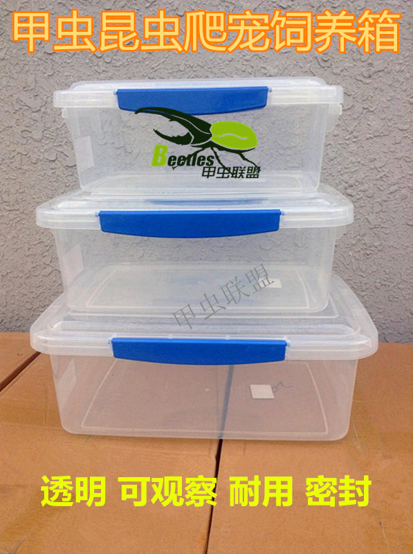 活体宠物甲虫独角仙 蝎子守 饲养箱盒昆虫饲养箱宠物盒幼虫 成虫