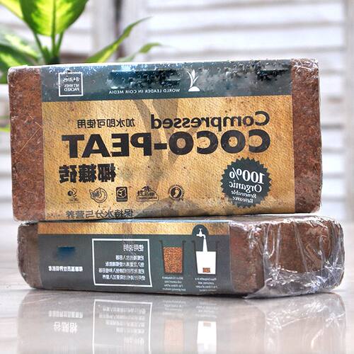 进口无菌独角仙蝎子甲虫营养土