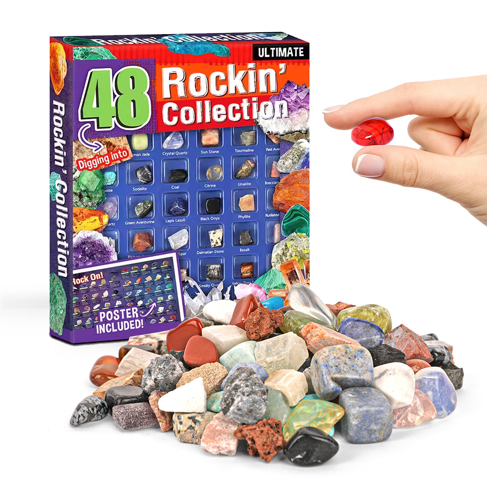 六一儿童节礼物标本探索儿童玩具