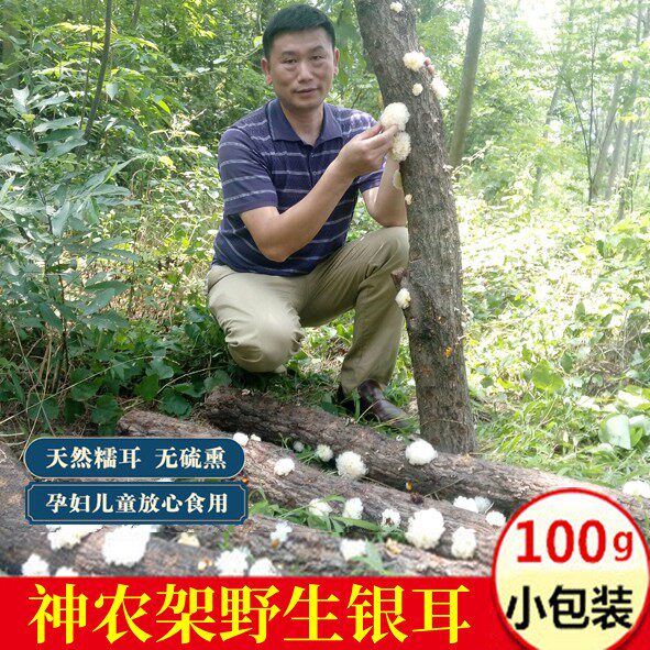 神农架野外生长小银耳特优无硫熏雪耳干货孕妇宝宝糯耳100g白木耳