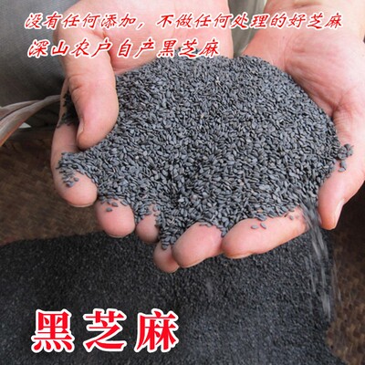 黑芝麻农家自产新鲜颗粒饱满