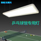 乒乓球台灯led乒乓球室新款 专用照明无影灯乒乓球馆灯防眩专用灯