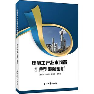 编 等 甲醇生产技术问答与典型事例剖析化工技术石油工业出版 社陈向平