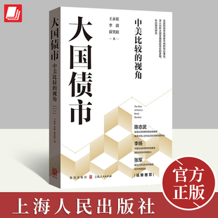大国债市:中美比较的视角 王永钦 李蔚 薛笑阳 著 上海人民出版社分析总结成熟债券市场与发展中债券市场的经验问题书籍