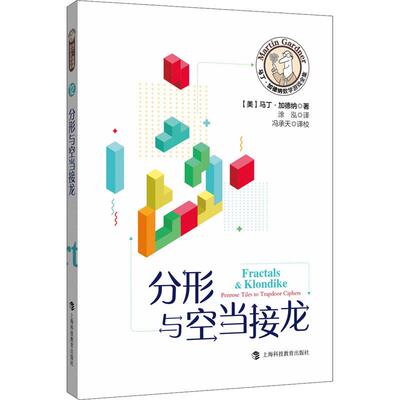 分形与空当接龙文教科普读物文化教育相关正版畅销图书籍中小学高中生青少年学生教师老师(美)马丁·加德纳 著 涂泓 译趣味数学之