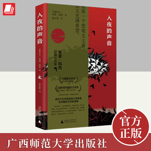 入夜的声音  广西师范大学出版社
