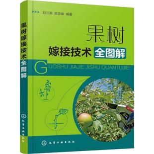 果树嫁接技术全图解种植业化学工业出版社赵兰英 雷世俊 编可供果树生产企业广大果农和果树爱好者学习使用也可供果树技术人员果
