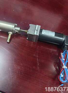 莱默尔DR 1275-03纠偏电机 MAXON 205654议价