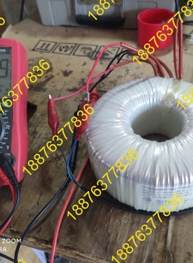 进口意大利tector环形电源牛，成色如图，230v转230 议价