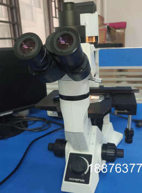 奥林巴斯CKX41倒置显微镜一台，配三个原装相差物镜10/2议价