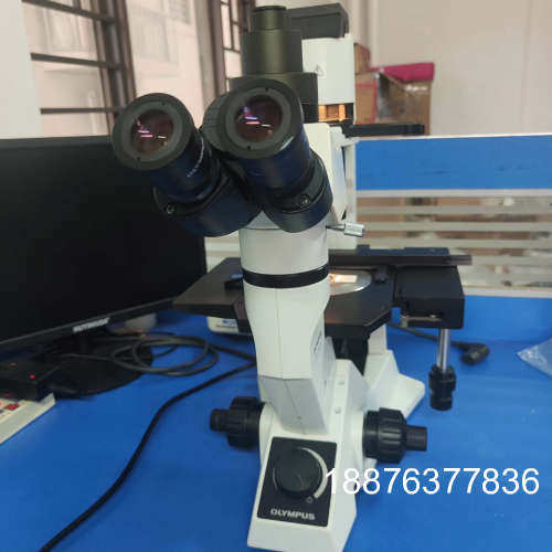 奥林巴斯CKX41倒置显微镜一台，配三个原装相差物镜10/2议价
