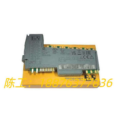 贝加莱B&R X20DS1319多功能数字信号处理器模块,全议价