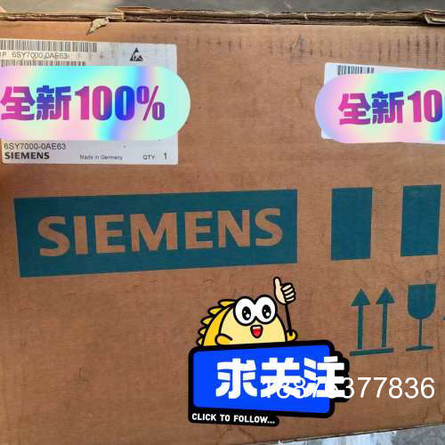 6SY7000-0AE63，全新原装库货电容组，全新的议价