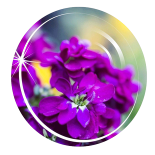 1.74非球面镜片绿膜加硬近视镜片防辐射防紫外线防蓝光配近视眼镜