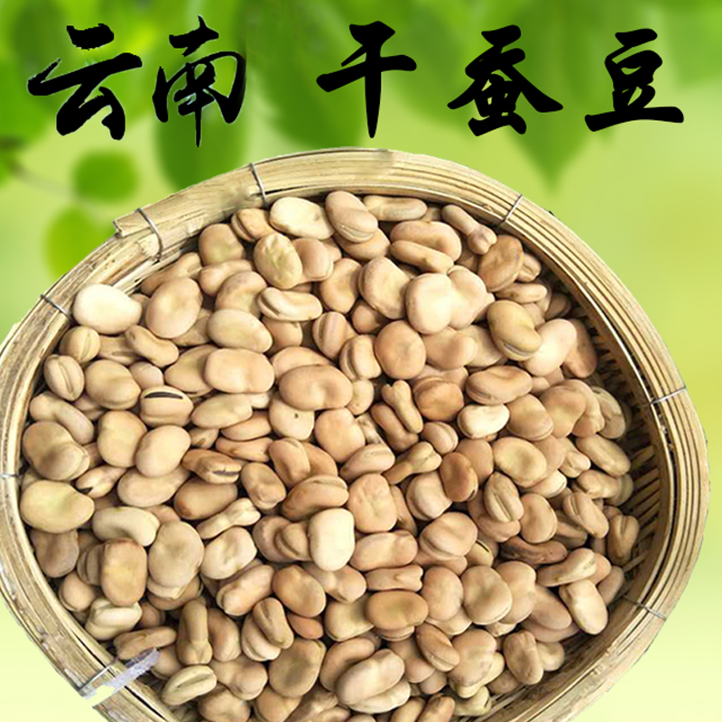 可做种子可做菜5斤生新鲜干蚕豆