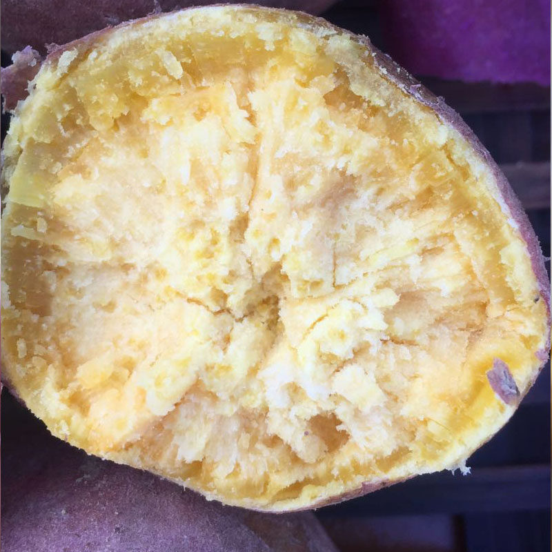 传统种植黄肉番薯 糯甜地瓜 鸡蛋黄薯 栗子薯中果山芋 5斤装现挖