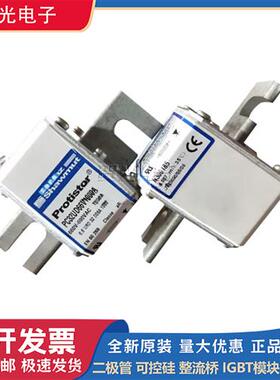 法国罗兰A070UD30TTI100 W300744 A070UD30TTI125 G300708熔断器