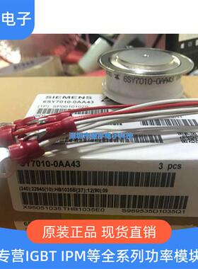 6SY7010-0AA44 6SY7010-0AA43 6SY7010-0AA47 6SY7010-0AA40 模块
