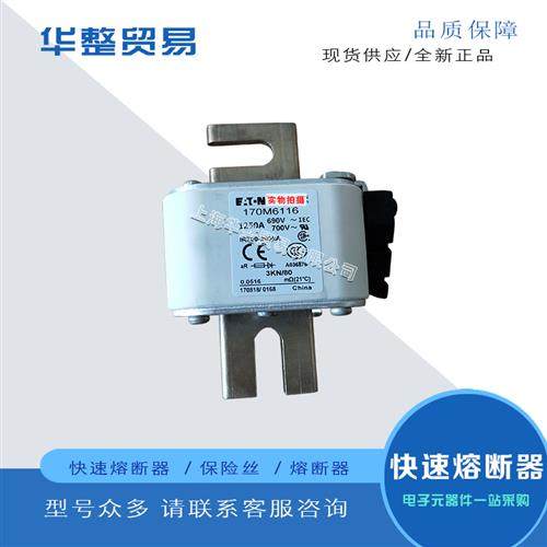 巴斯曼全新正品原装快速熔断器保险丝170M6117 170M6118 170M6119