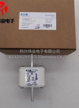 全新原装 170M5212 170M5262 170M5013快速熔断器 中压熔断器