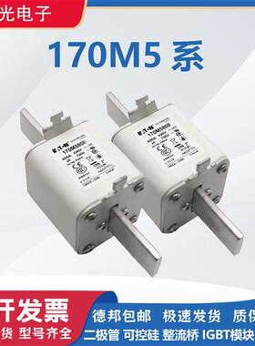 快速熔断器保险 170M5808/5809/5810/5811/5812/5813全新