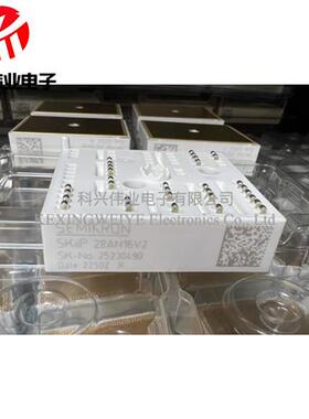 SKIIP28ANB16V1 SKIIP28ANB16V2 SKIIP28AN16V2 全新原装