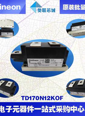 TD170N12KOF TD170N14KOF TD170N16KOF全新原装功率可控硅模块
