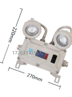 BAJ52防爆双头应急灯B级 现货设备