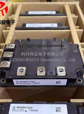PM200RG1C65 PM300RG1C65 PM400RG1C65 PM700RG1C65全新原装现货