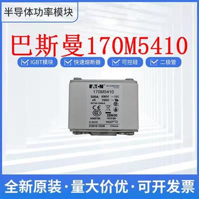 熔断器原装 170M5410 170M5411 170M5412 170M5413巴斯曼熔断器