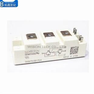 SKM150GB17E4 SKM75GB17E4H16西门康 SKM100GB17E4 SKM75GB17E4