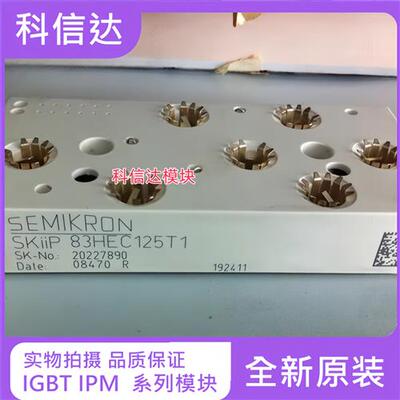 SKIIP83EC125T1 SKIIP83HEC125T1 SKIIP82AC12T1 SKIIP83ANB15T1