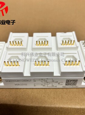 模块SKM200GAH123DKL SKM200GAH126DKL SKM300GAH126DKLT