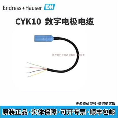 E+H 德国 PH数字电极电缆CYK10-A051 CYK10-A101现货