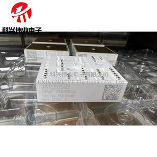 SKIIP28ANB16V1 SKIIP28ANB16V2 SKIIP28AN16V2 全新原装