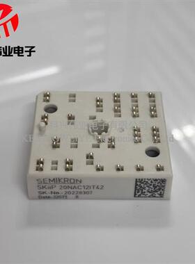 全新SKIIP20NAC12IT42 20NAC12IT2 SKIIP24NAB125T12 22NAB125T12