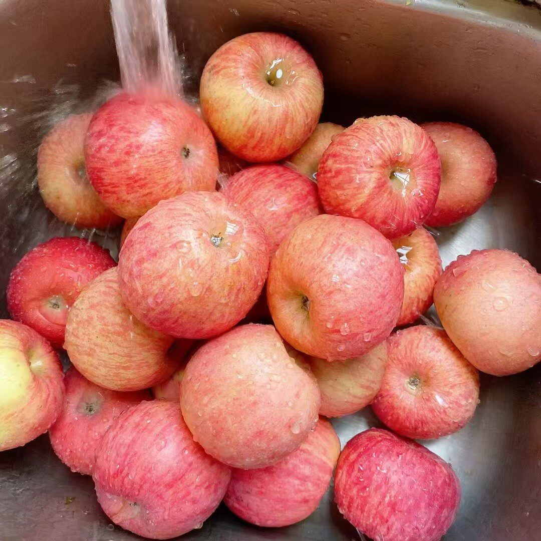 陕西特产洛川苹果红富士水果一级新鲜整箱12斤24枚品质果发京东,水产肉类/新鲜蔬果/熟食,苹果,淘宝优惠券,粉丝福利购,淘宝优惠卷